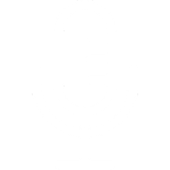 microphone icon