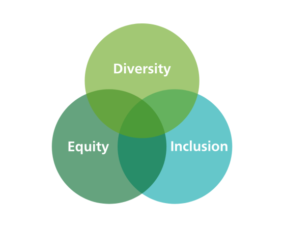 DE&I diagramm